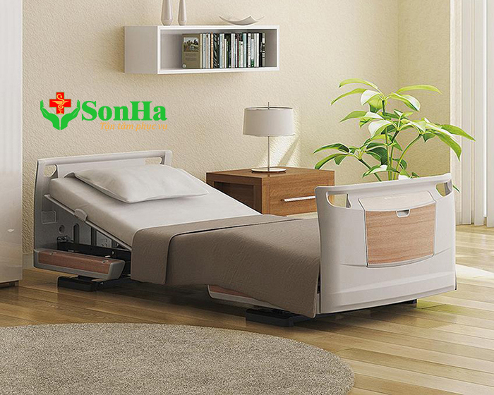 Paramount Bed Rakusho Z